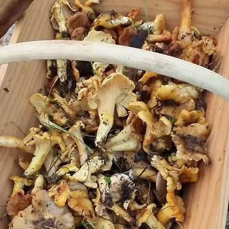 Corsica Monti Petreto-Bicchisano