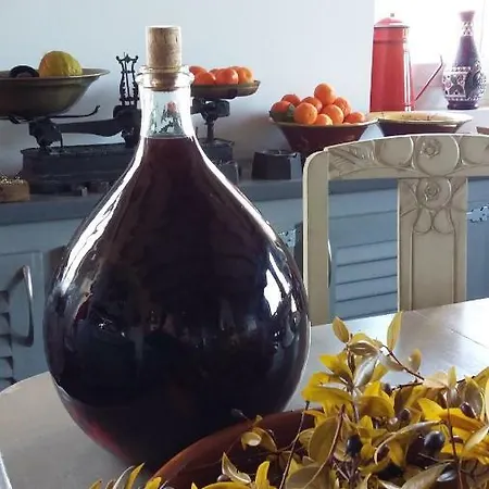 Bed & Breakfast Corsica Monti